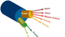 VLANs encapsulated over MPLS frames